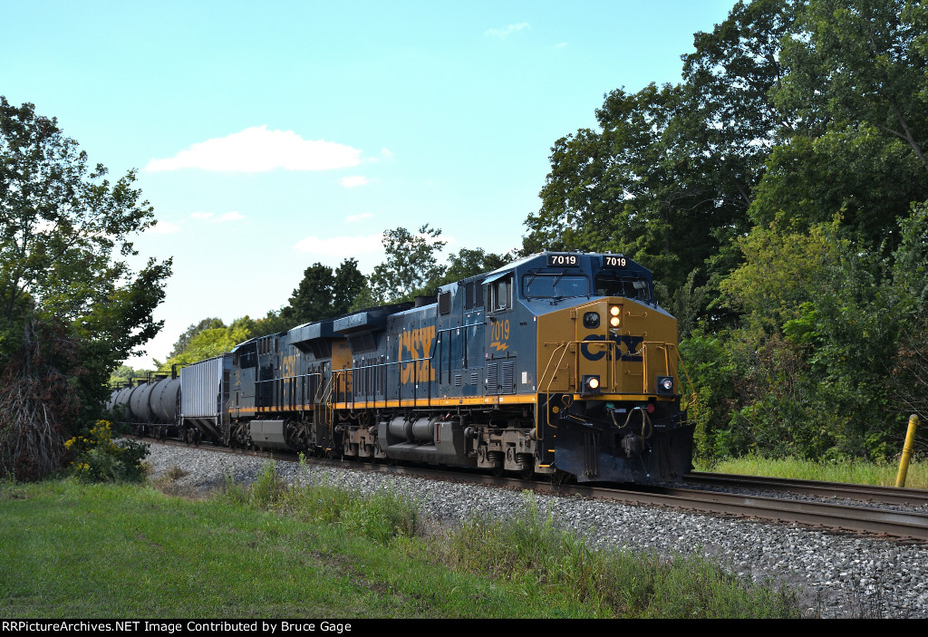 CSX 7019